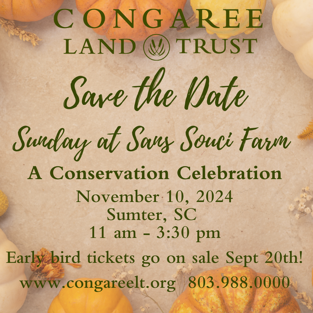 Save%20the%20Date%20Fall%20Celebration%202024(1).png