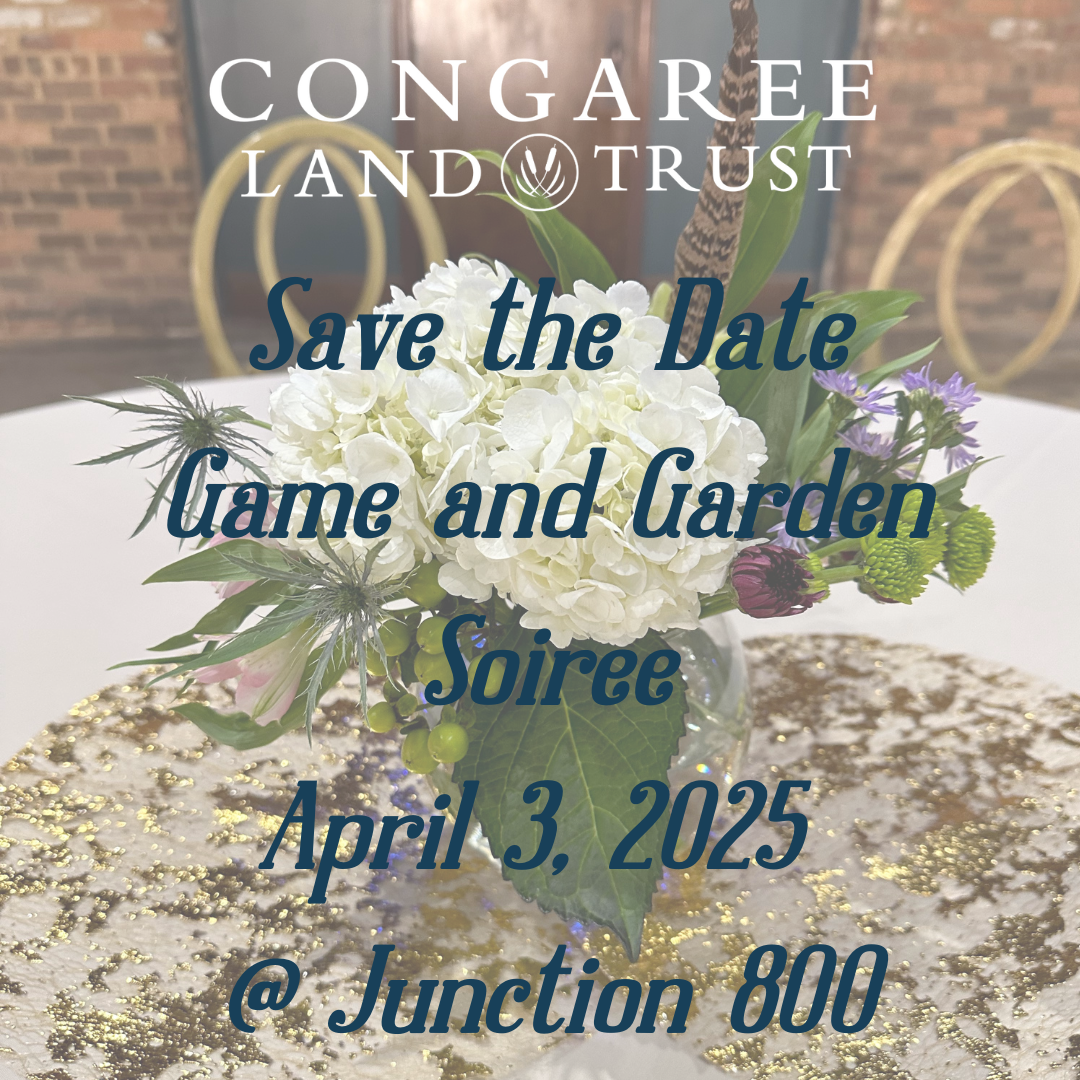 Save%20the%20Date%20Game%20and%20Garden%20Soiree%20April%203%2C%202025%20%40%20Junction%20800%20(1).png